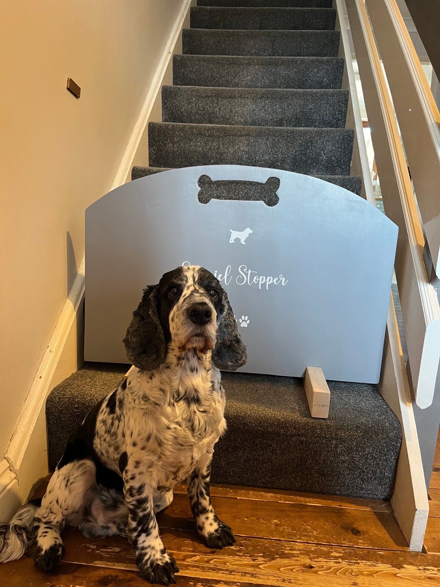 Spaniel Stopper