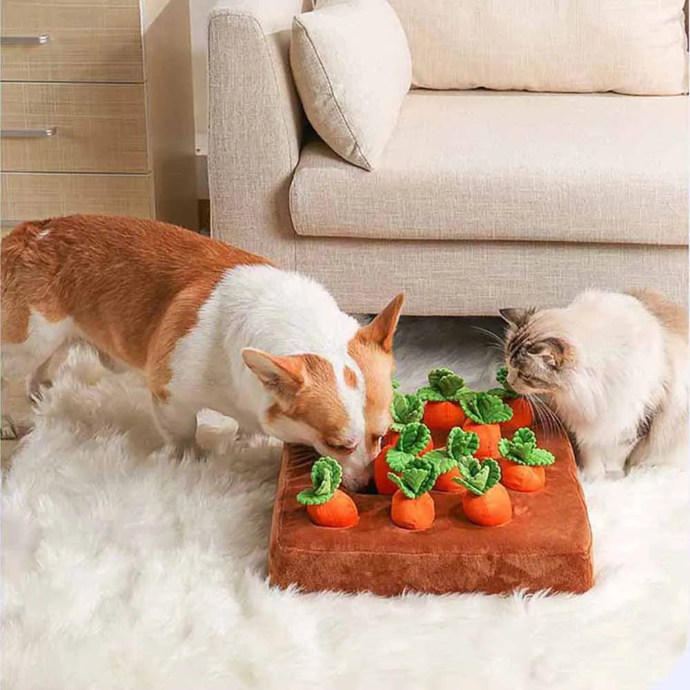 Carrot Garden Dog Toy