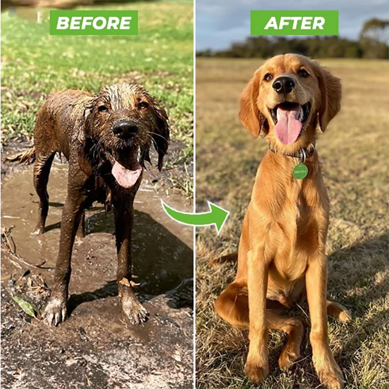 Pup Jet Wash