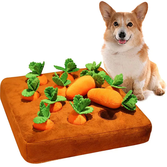 Carrot Garden Dog Toy